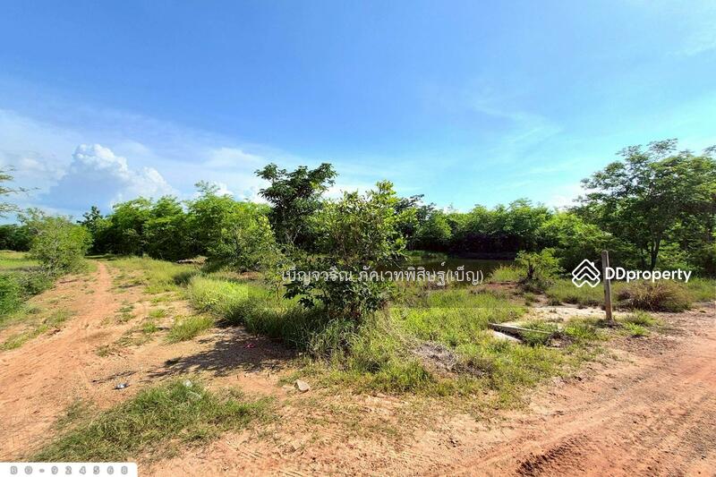 For Sale - BO-924568 Land in Non Thai, 17 rai 142 sq w, Nakorn Ratchasima, near Lotus Non Thai, Nakhon Ratchasima