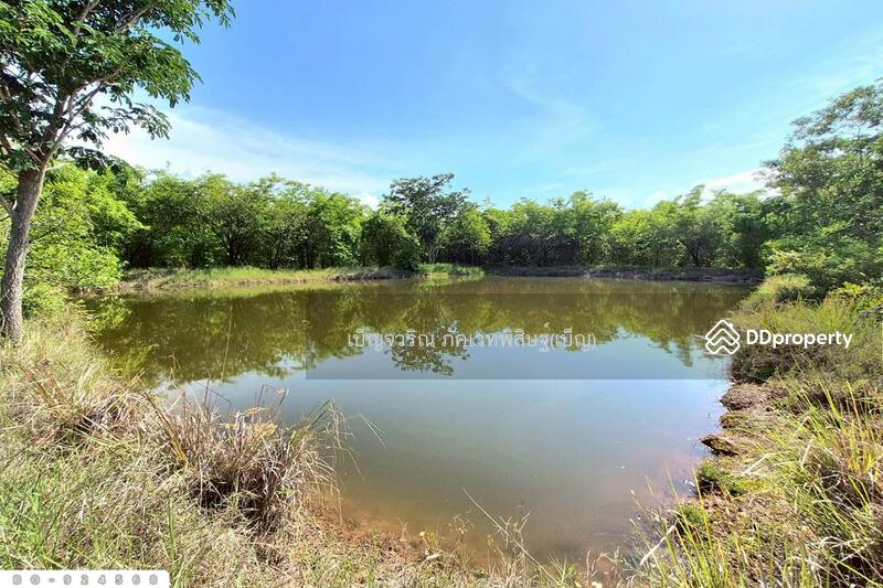 For Sale - BO-924568 Land in Non Thai, 17 rai 142 sq w, Nakorn Ratchasima, near Lotus Non Thai, Nakhon Ratchasima