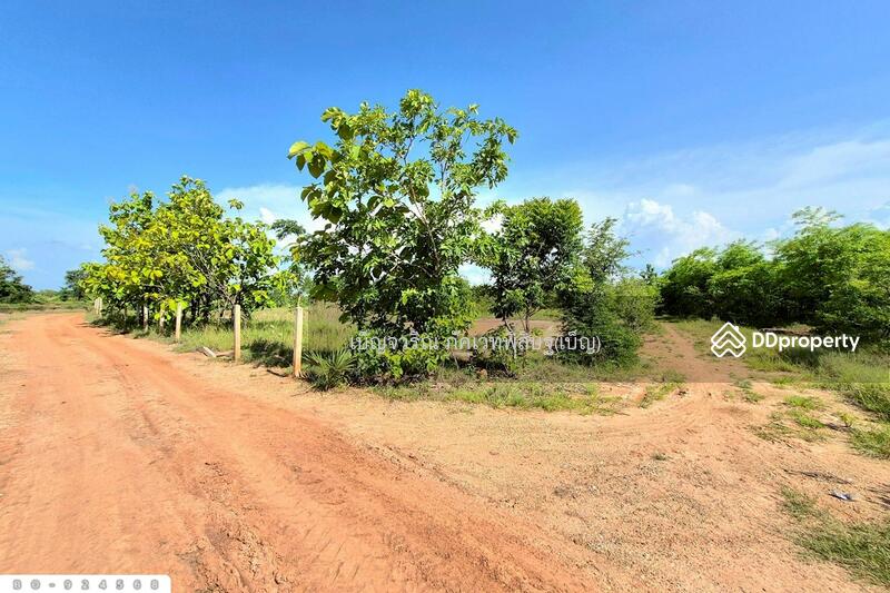 For Sale - BO-924568 Land in Non Thai, 17 rai 142 sq w, Nakorn Ratchasima, near Lotus Non Thai, Nakhon Ratchasima