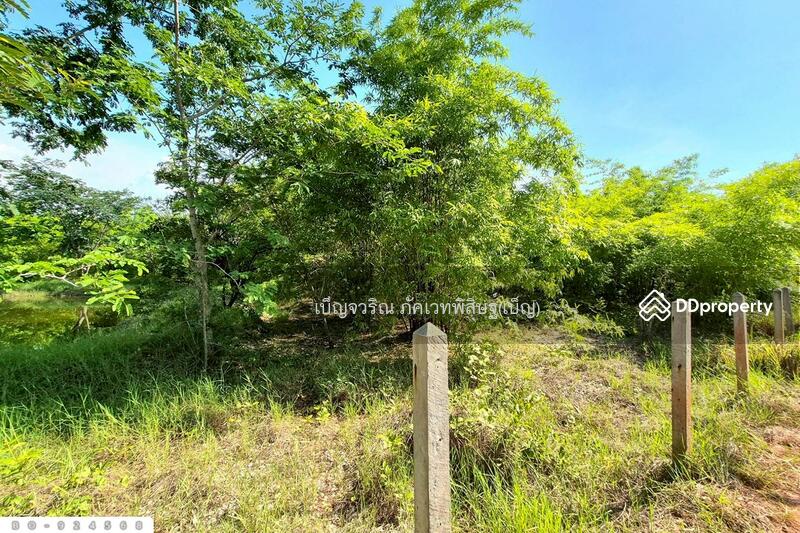 For Sale - BO-924568 Land in Non Thai, 17 rai 142 sq w, Nakorn Ratchasima, near Lotus Non Thai, Nakhon Ratchasima