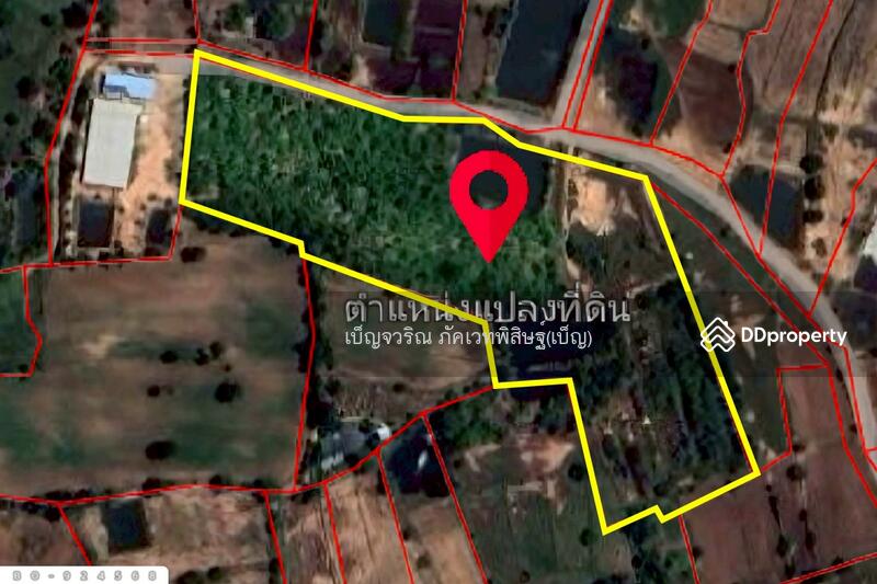 For Sale - BO-924568 Land in Non Thai, 17 rai 142 sq w, Nakorn Ratchasima, near Lotus Non Thai, Nakhon Ratchasima