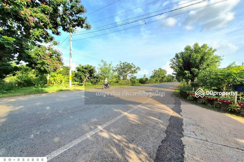 ขาย - BO-924569 ที่ดินขามสะแกแสง 24 ไร่ 194.3 ตร.ว. นครราชสีมา ใกล้ที่ว่าการอำเภอขามสะแกแสง, นครราชสีมา