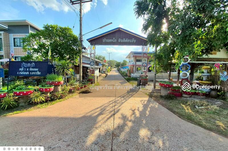 ขาย - BO-924569 ที่ดินขามสะแกแสง 24 ไร่ 194.3 ตร.ว. นครราชสีมา ใกล้ที่ว่าการอำเภอขามสะแกแสง, นครราชสีมา