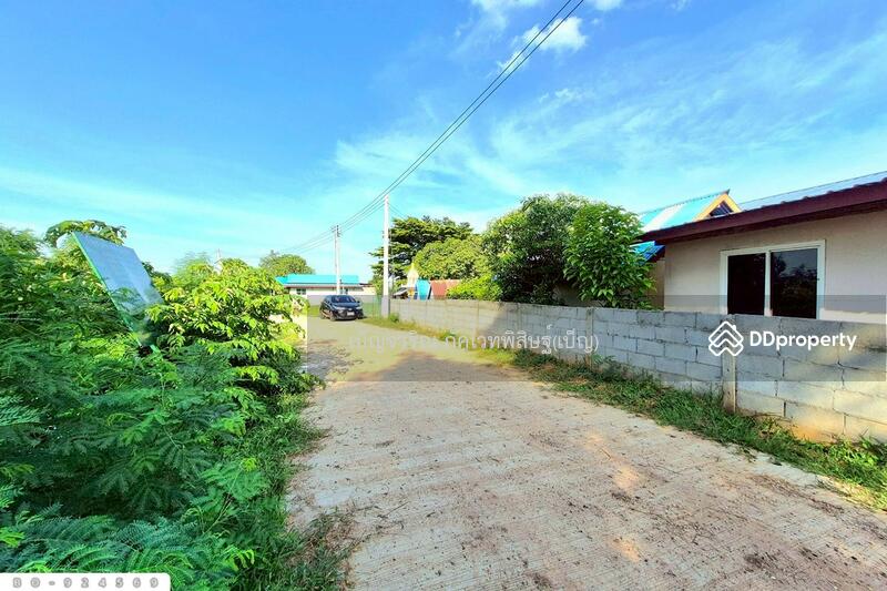 ขาย - BO-924569 ที่ดินขามสะแกแสง 24 ไร่ 194.3 ตร.ว. นครราชสีมา ใกล้ที่ว่าการอำเภอขามสะแกแสง, นครราชสีมา