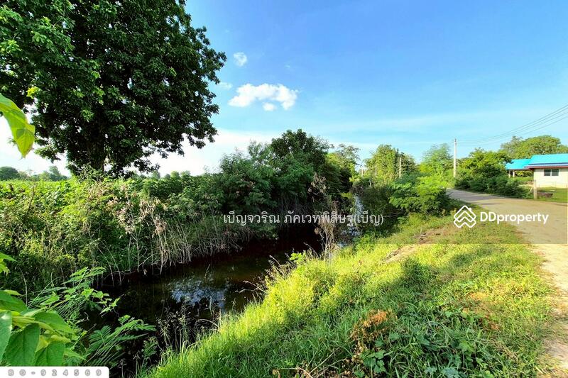 For Sale - BO-924569 Land in Kham Sakaesaeng, 24 rai 194.3 sq w, Nakhon Ratchasima, Nakhon Ratchasima