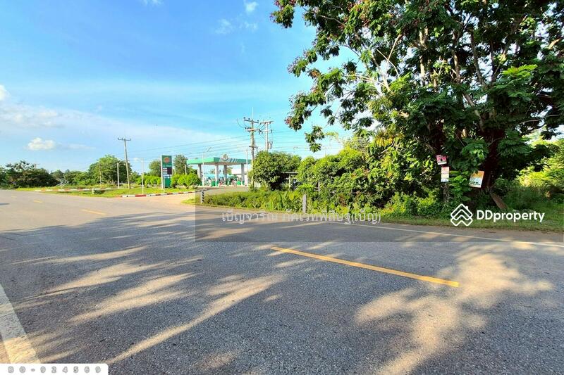 ขาย - BO-924569 ที่ดินขามสะแกแสง 24 ไร่ 194.3 ตร.ว. นครราชสีมา ใกล้ที่ว่าการอำเภอขามสะแกแสง, นครราชสีมา