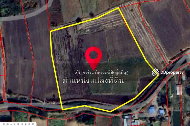 ขาย - BO-924569 ที่ดินขามสะแกแสง 24 ไร่ 194.3 ตร.ว. นครราชสีมา ใกล้ที่ว่าการอำเภอขามสะแกแสง, นครราชสีมา
