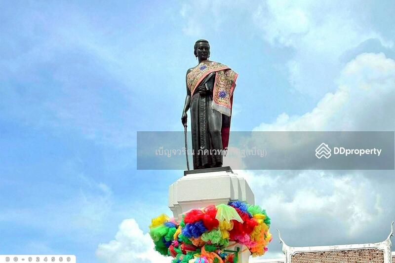 ขาย - BO-924569 ที่ดินขามสะแกแสง 24 ไร่ 194.3 ตร.ว. นครราชสีมา ใกล้ที่ว่าการอำเภอขามสะแกแสง, นครราชสีมา