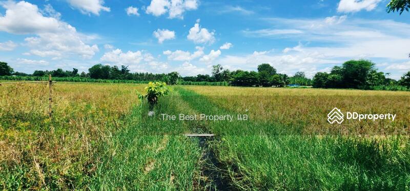 ขาย - ที่ดินหนองฉาง อุทัยธานี, อุทัยธานี