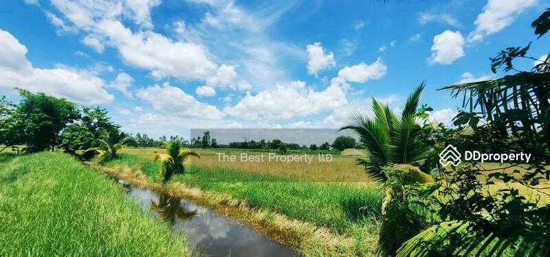 ขาย - ที่ดินหนองฉาง อุทัยธานี, อุทัยธานี