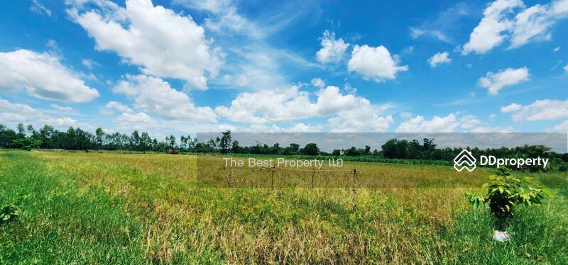 ขาย - ที่ดินหนองฉาง อุทัยธานี, อุทัยธานี