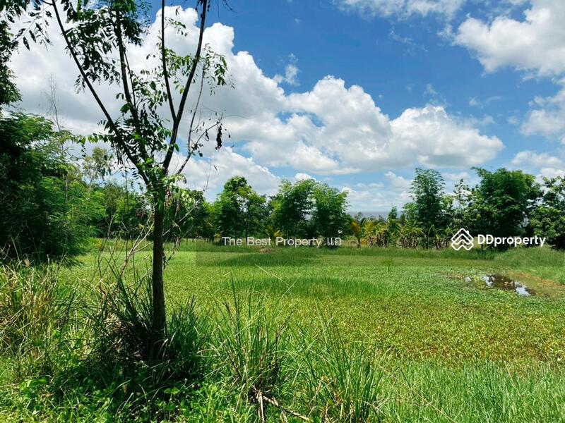 ขาย - ที่ดินหนองฉาง อุทัยธานี, อุทัยธานี