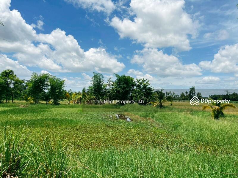ขาย - ที่ดินหนองฉาง อุทัยธานี, อุทัยธานี