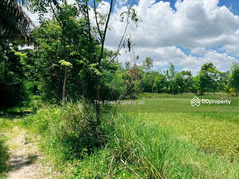 ขาย - ที่ดินหนองฉาง อุทัยธานี, อุทัยธานี