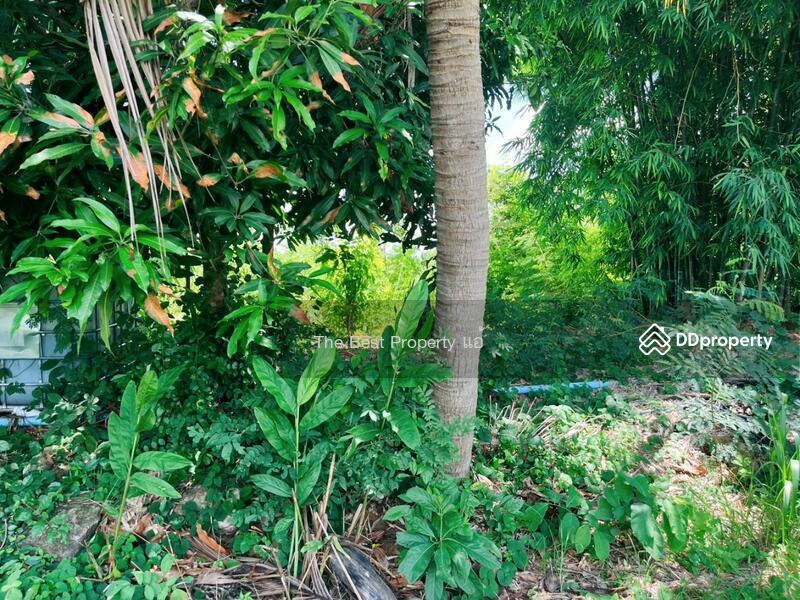 ขาย - ที่ดินหนองฉาง อุทัยธานี, อุทัยธานี