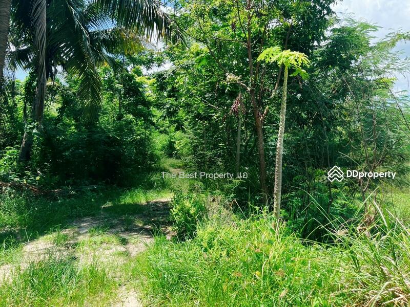 ขาย - ที่ดินหนองฉาง อุทัยธานี, อุทัยธานี