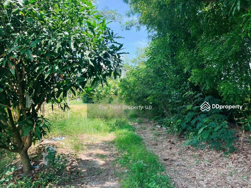 ขาย - ที่ดินหนองฉาง อุทัยธานี, อุทัยธานี