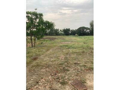 ขาย - ที่ดินป่ามะคาบ พิจิตร, พิจิตร