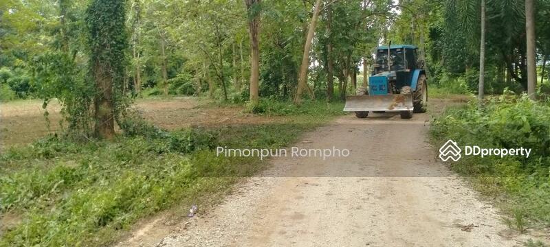 ดูแลพื้นที่ไม่ได้ปล่อยให้รกร้าง