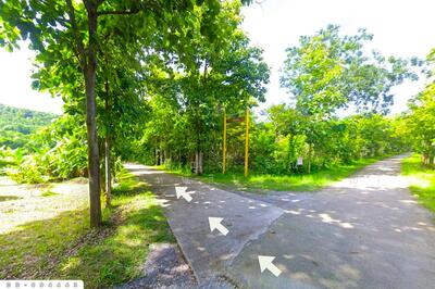 ขาย - DD-894443 ที่ดินเมืองหนองบัวลำภู 2 ไร่ 37 ตร.ว. ใกล้โรงพยาบาลหนองบัวลำภู, หนองบัวลำภู