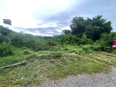 ขาย - ที่ดินไทรน้อย นนทบุรี, นนทบุรี