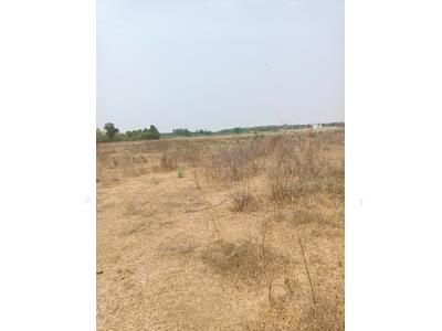 ขาย - ที่ดินจอมบึง ราชบุรี, ราชบุรี