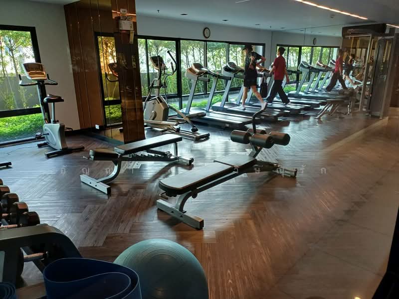 ให้เช่า - Thana Astoria Pinklao : ธนา แอสโทเรีย ปิ่นเกล้า, กรุงเทพ