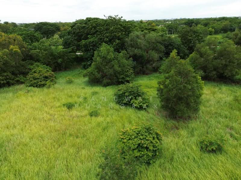 เวิลด์คลับ แลนด์ คลองหลวง, Pathum Thani, - -, Khlong Sam, Khlong Luang, Pathum Thani, , 2,300 sqm, Land For Sale, by Panuwat Ruangrak, 60040596 - DDproperty.com