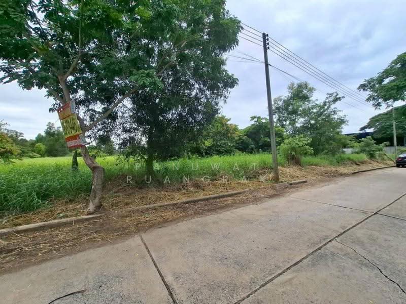 เวิลด์คลับ แลนด์ คลองหลวง, Pathum Thani, - -, Khlong Sam, Khlong Luang, Pathum Thani, , 2,300 sqm, Land For Sale, by Panuwat Ruangrak, 60040596 - DDproperty.com