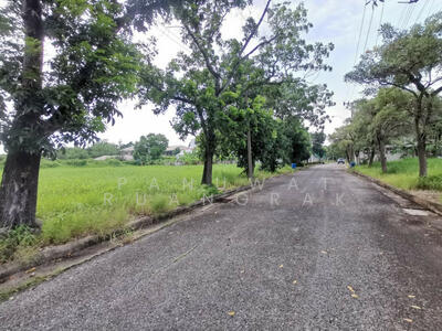 ขาย - ในสนามกอล์ฟ เลควูด Lakewood ซอย 16 ขนาด, สมุทรปราการ