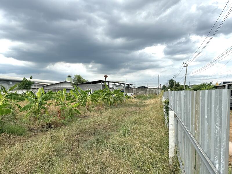 ขายด่วน ที่ดินถมสูง 10 ปี 4 ไร่ 1 งาน 6 ตร.วา ถมสูง 10 ปี ซ.บงกช 30 คลองสอง, ปทุมธานี, คลองสอง, คลองหลวง, ปทุมธานี, 6,824 ตร.ม., ที่ดิน ขาย, โดย แพรวา ตั้งนิรันดร, 60040835 - DDproperty.com