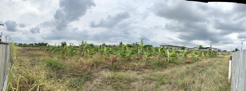 ขายด่วน ที่ดิน 4 ไร่ 1 งาน 6 ตร.วา ถมสูง 10 ปี ซ.บงกช 30 คลองสอง, ปทุมธานี, คลองสอง, คลองหลวง, ปทุมธานี, 6,824 ตร.ม., ที่ดิน ขาย, โดย แพรวา ตั้งนิรันดร, 60040835 - DDproperty.com