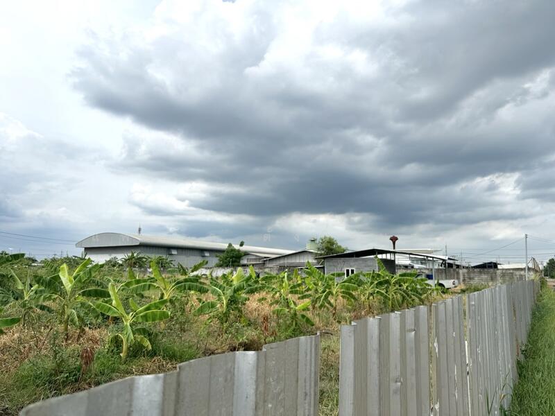 ขายด่วน ที่ดิน 4 ไร่ 1 งาน 6 ตร.วา ถมสูง 10 ปี ซ.บงกช 30 คลองสอง, ปทุมธานี, คลองสอง, คลองหลวง, ปทุมธานี, 6,824 ตร.ม., ที่ดิน ขาย, โดย แพรวา ตั้งนิรันดร, 60040835 - DDproperty.com