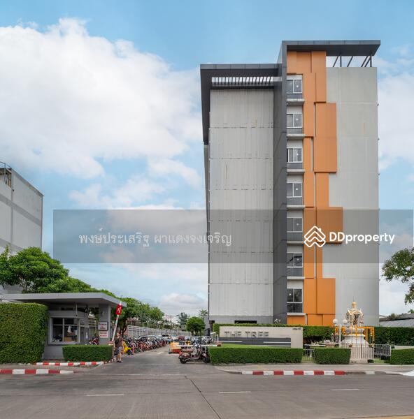 ขาย - The Tree Condo Ladprao : เดอะ ทรี คอนโด ลาดพร้าว, กรุงเทพ