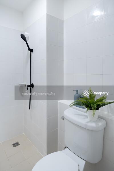 ขาย - The Tree Condo Ladprao : เดอะ ทรี คอนโด ลาดพร้าว, กรุงเทพ