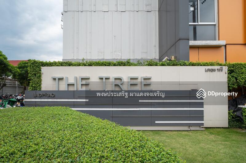 ขาย - The Tree Condo Ladprao : เดอะ ทรี คอนโด ลาดพร้าว, กรุงเทพ