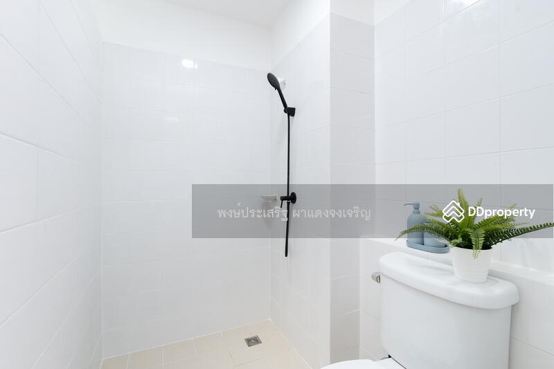 ขาย - The Tree Condo Ladprao : เดอะ ทรี คอนโด ลาดพร้าว, กรุงเทพ