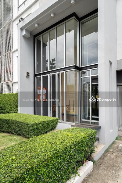 ขาย - The Tree Condo Ladprao : เดอะ ทรี คอนโด ลาดพร้าว, กรุงเทพ