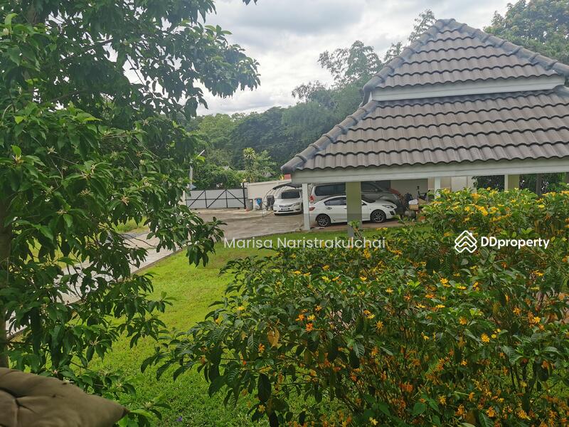 For Sale - Mae Pong, Chiang Mai