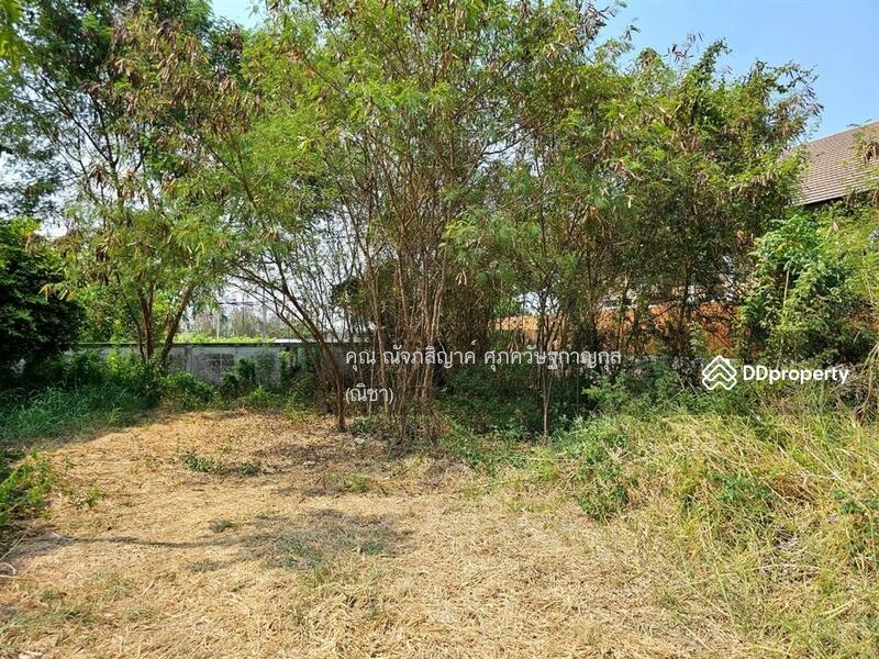 For Sale - Neighborhome Watcharaphon, Bangkok