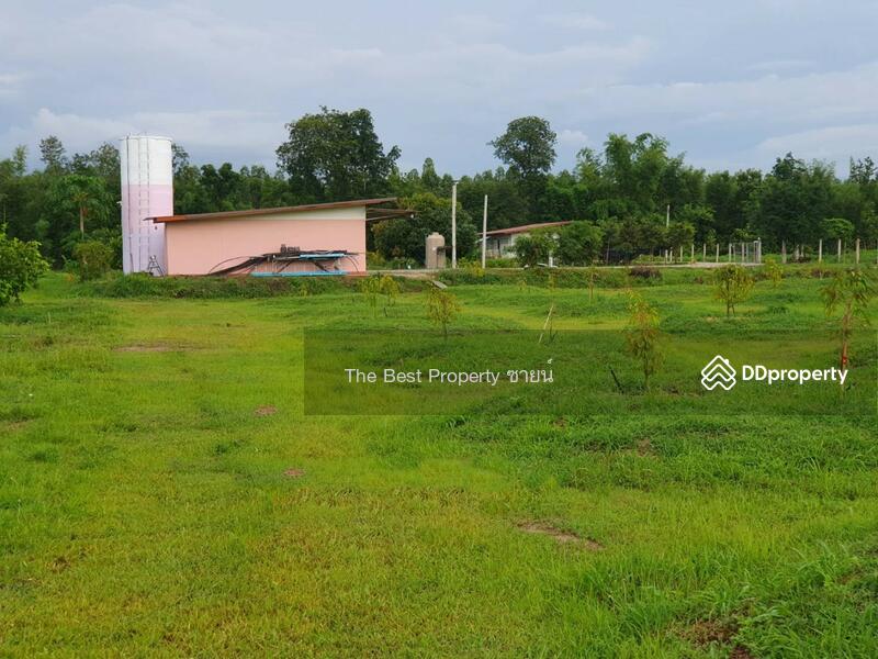 ขาย - ที่ดินกบินทร์บุรี ปราจีนบุรี, ปราจีนบุรี
