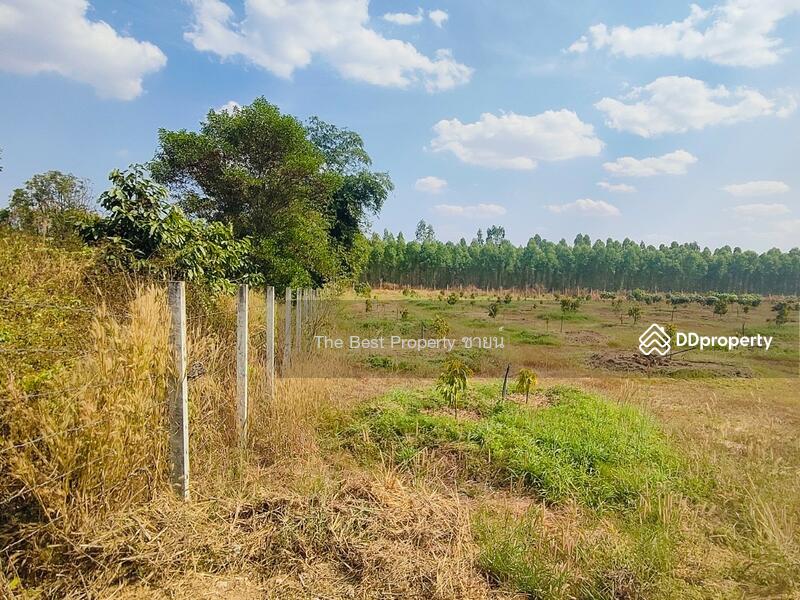 ขาย - ที่ดินกบินทร์บุรี ปราจีนบุรี, ปราจีนบุรี