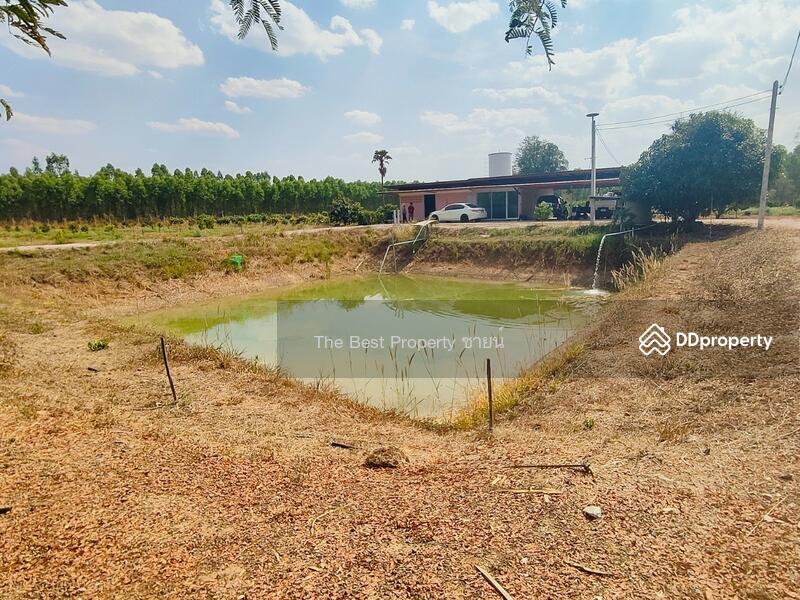 ขาย - ที่ดินกบินทร์บุรี ปราจีนบุรี, ปราจีนบุรี