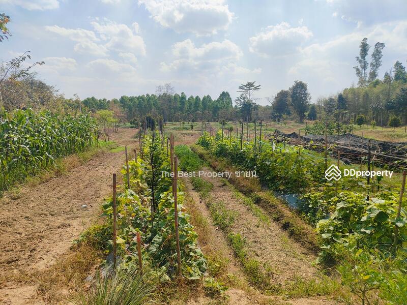 ขาย - ที่ดินกบินทร์บุรี ปราจีนบุรี, ปราจีนบุรี