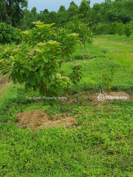 ขาย - ที่ดินกบินทร์บุรี ปราจีนบุรี, ปราจีนบุรี