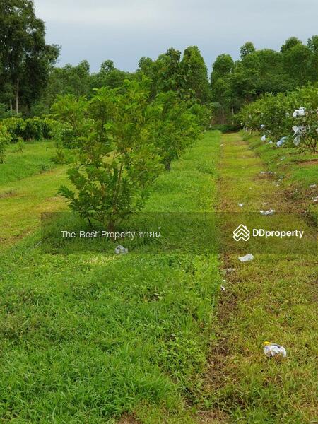 ขาย - ที่ดินกบินทร์บุรี ปราจีนบุรี, ปราจีนบุรี