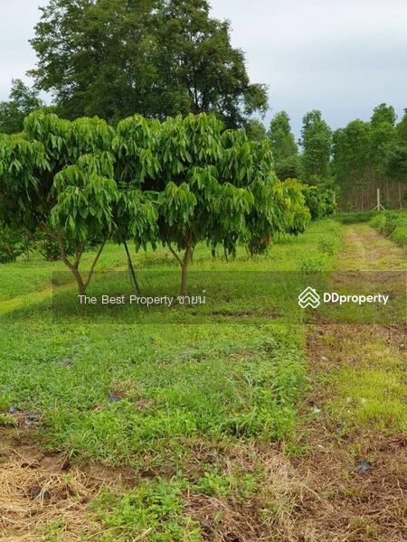 ขาย - ที่ดินกบินทร์บุรี ปราจีนบุรี, ปราจีนบุรี