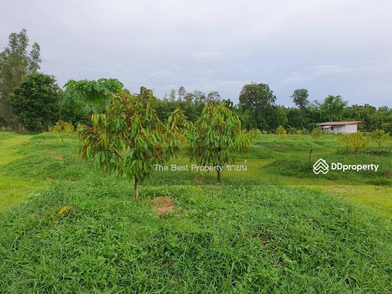 ขาย - ที่ดินกบินทร์บุรี ปราจีนบุรี, ปราจีนบุรี