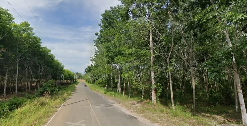 ที่ดินสวนยาง 1.5 ไร่ ติดถนนลาดยาง, สงขลา, คลองหอยโข่ง, สงขลา, 2,400 ตร.ม., ที่ดิน ขาย, โดย คุณอูน (Oun), 60042029 - DDproperty.com