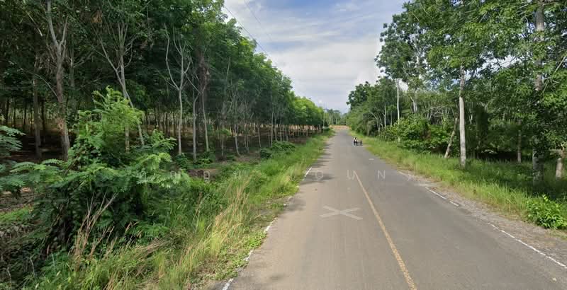 1.5 Rai of Rubber Plantation Land with Direct Access to Paved Road, Songkhla, Khlong Hoi Khong, Songkhla, , 2,400 sqm, Land For Sale, by คุณอูน (Oun), 60042029 - DDproperty.com